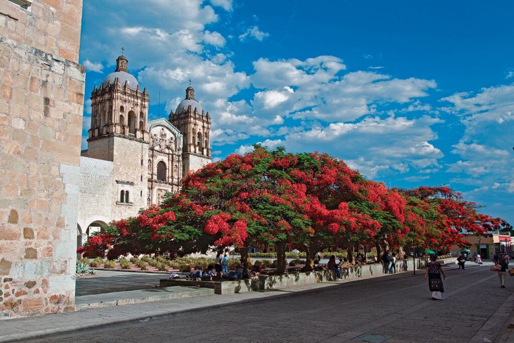 santo domingo galeria oaxaca